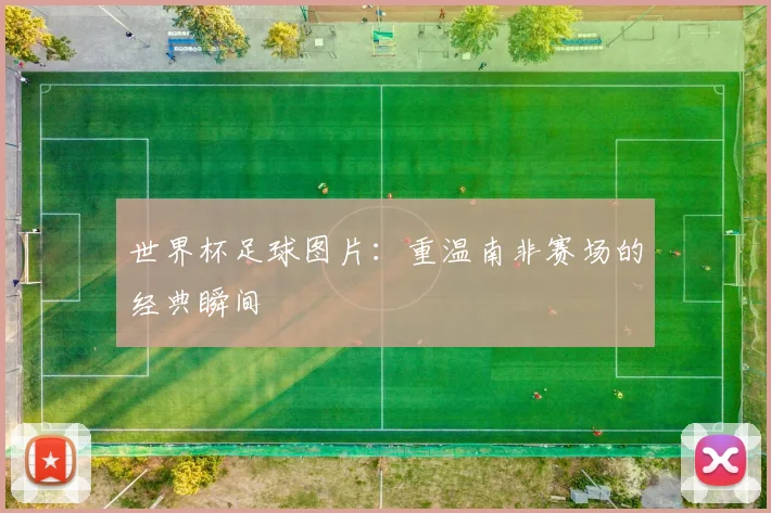 世界杯足球图片：重温南非赛场的经典瞬间