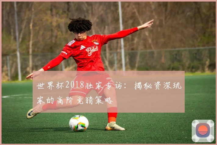 世界杯2018独家专访：揭秘资深玩家的高阶竞猜策略
