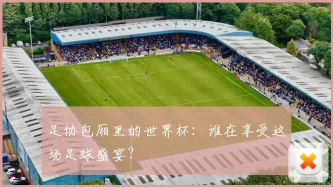 足协包厢里的世界杯：谁在享受这场足球盛宴？
