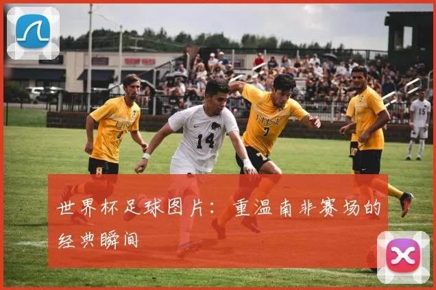 世界杯足球图片：重温南非赛场的经典瞬间